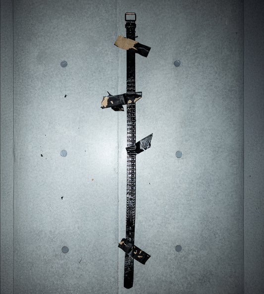 [Emotionless Sanctuary] Dead Echo Belt